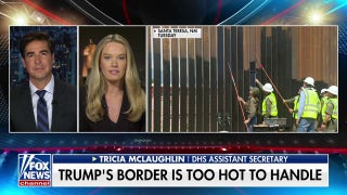 DHS secretary reveals why border wall is being painted black