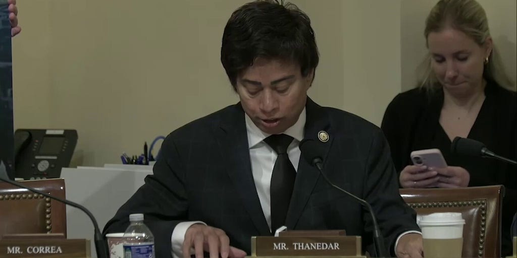 Dem rep calls federal agents 'thugs'