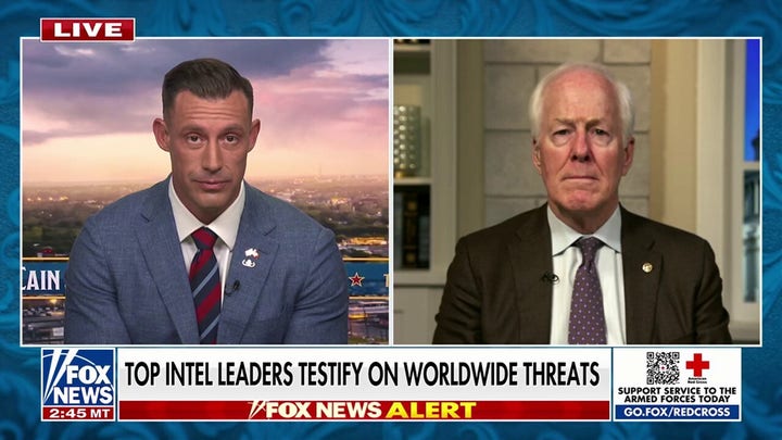 'Trump Derangement Syndrome' is controlling Democrats: Sen John Cornyn