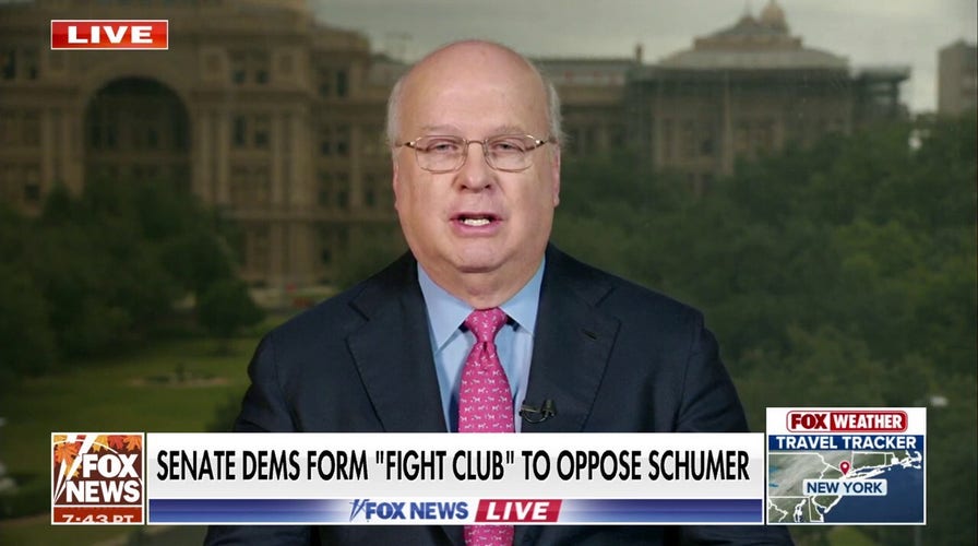 Young leftists determination   to oust Chuck Schumer arsenic  enactment      civilian  warfare  explodes