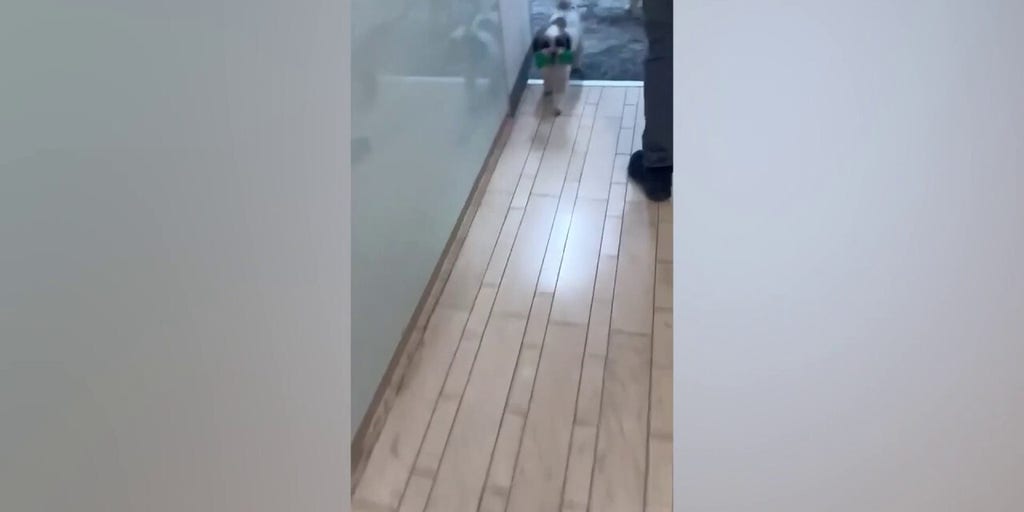 Huckabee's dogs head to shelter amid Iranian missile attack