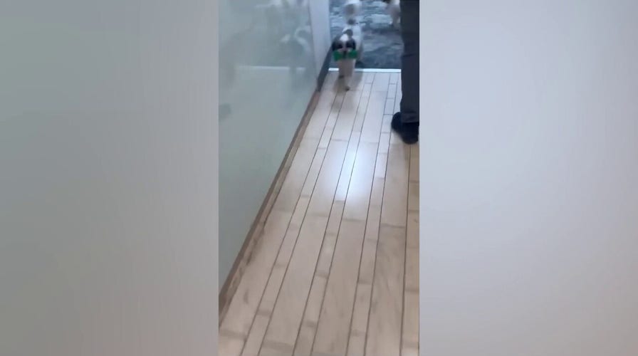 Huckabee's dogs caput  to structure  amid Iranian rocket  attack