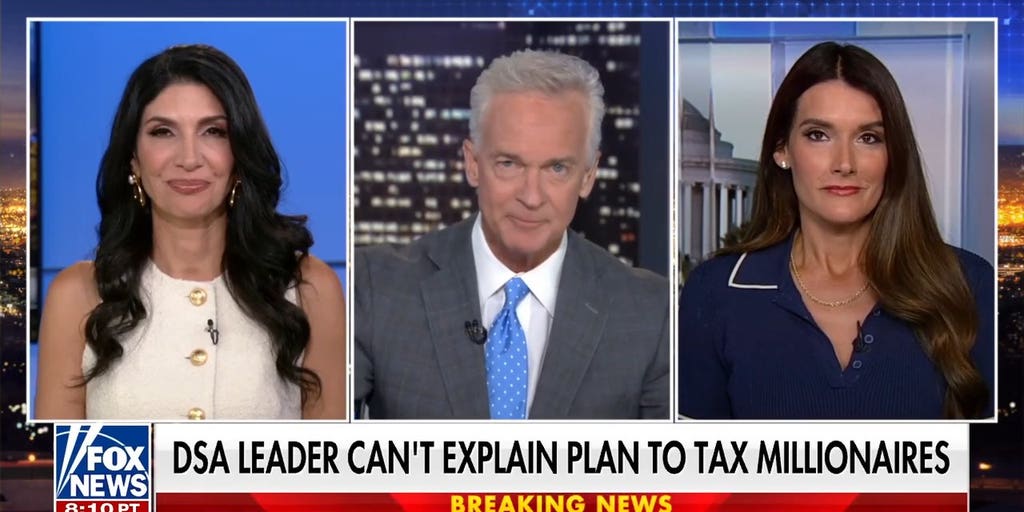 The Democratic Party is 'bowing down' to the DSA, Shirin Yadegar warns