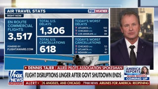 Flight disruptions linger after government shutdown ends - Fox News