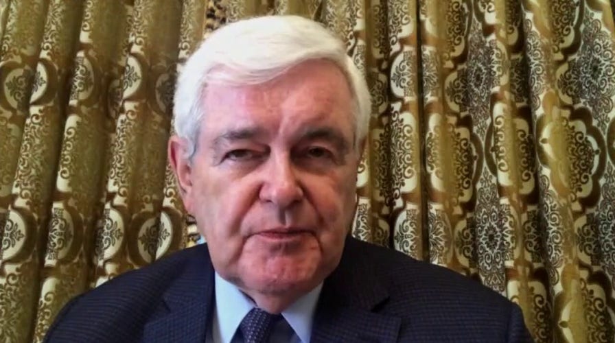 Newt's ideas on future of police reform