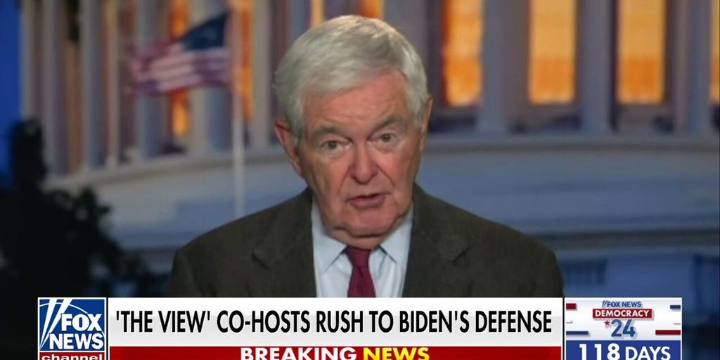Newt Gingrich: The left is 'running in circles and saying weird things'