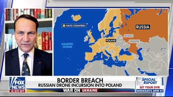 Poland's deputy PM says it's 'hard to believe' Russia's airspace violation 'accidents'