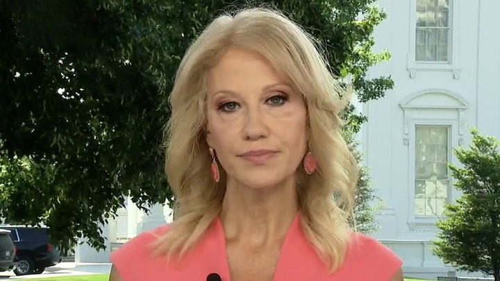 Kellyanne Conway on US shattering COVID-19 daily case record, her role in 2020 campaign