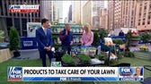 How to get your lawn and garden ready for spring