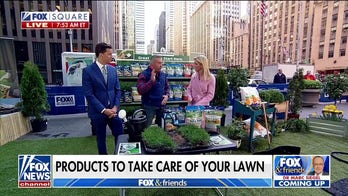 How to get your lawn and garden ready for spring