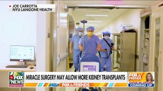 Miracle surgery using animal organs may allow more kidney transplants  - Fox News