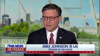 Speaker Johnson warns against media criticism of Trump's 'big, beautiful bill'