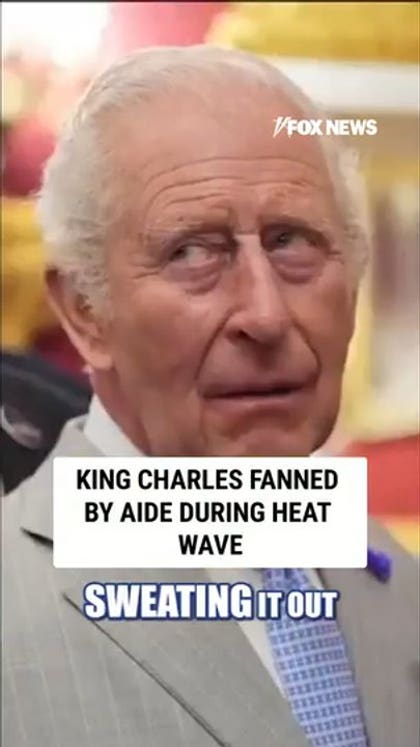 King Charles fanned by aide during heat wave