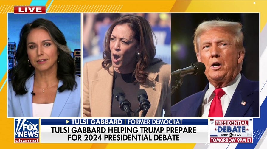 Tulsi Gabbard: Kamala Harris 'cannot run away from her record'