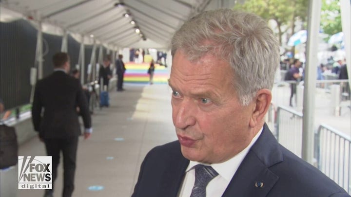 Exclusive: Finland's president discusses Russia, Putin and NATO