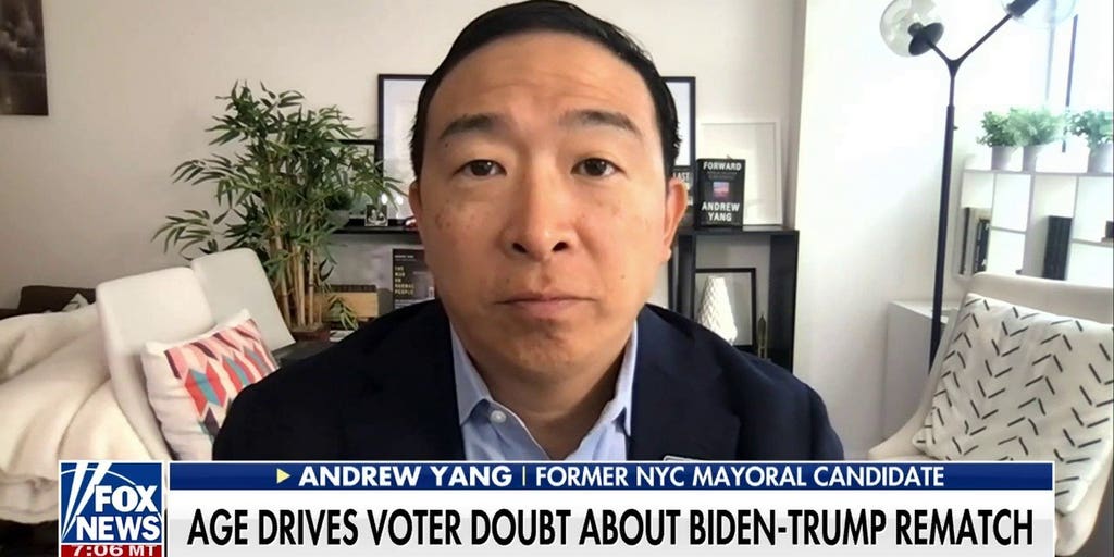 Our country deserves compromised solutions: Andrew Yang | Fox News Video