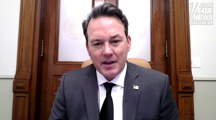 Georgia lieutenant governor rolls out statewide DOGE plan, ‘Red Tape Rollback’