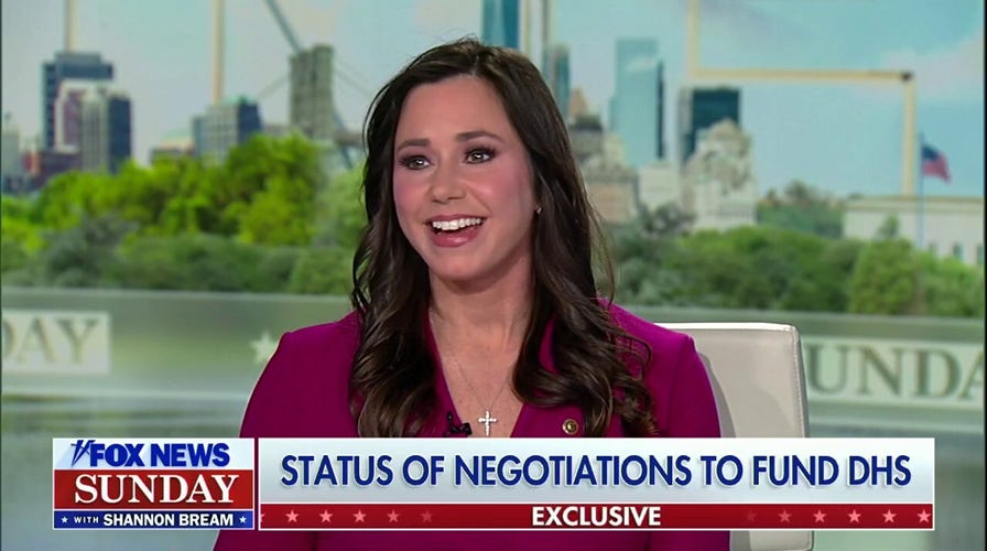  Dems are ‘dragging their feet’ connected  DHS funding, ICE reforms