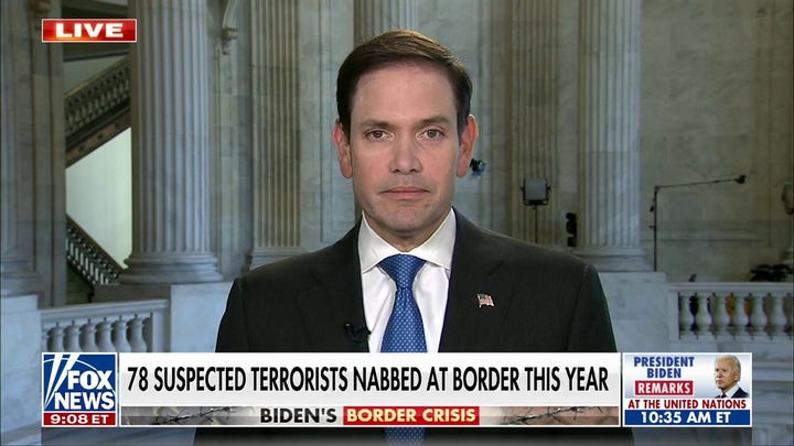 Sen. Rubio: Illegal immigration has become an 'industry' around the world