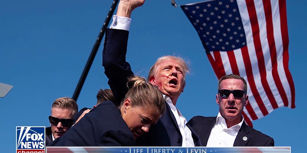 'We will never witness this moment in history ever again': Joe Concha describes Trump's historic win in new book