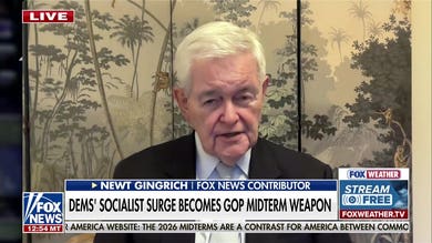 Gingrich: Big government socialists taking over the Democratic Party are ‘playing crazy’