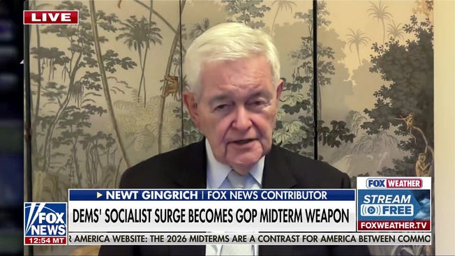 Gingrich: Big government socialists taking over the Democratic Party are ‘playing crazy’