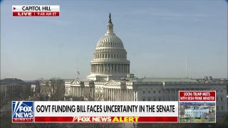 Government funding bill faces uncertainty in Senate as Democrats weigh outcomes - Fox News
