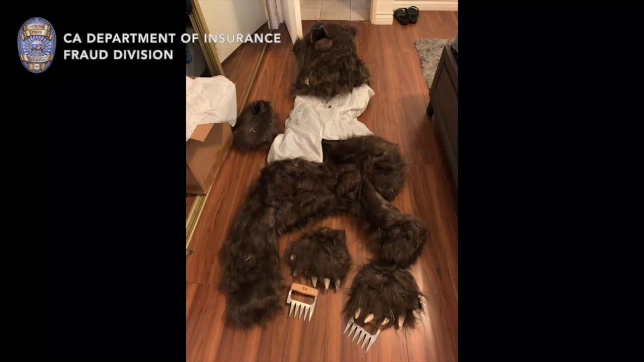 Person in bear costume caught on video attacking luxury cars in alleged insurance scam