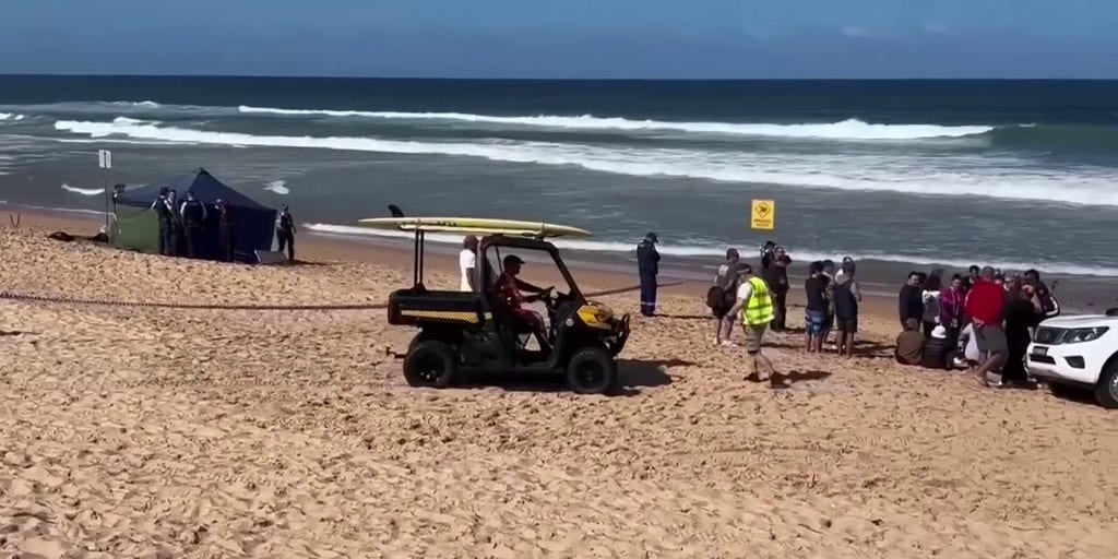 Man dies in Australia after being bitten by 'large shark' along Sydney beach