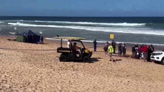 Man dies in Australia after being bitten by 'large shark' along Sydney beach