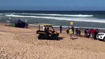 Man dies in Australia after being bitten by 'large shark' along Sydney beach