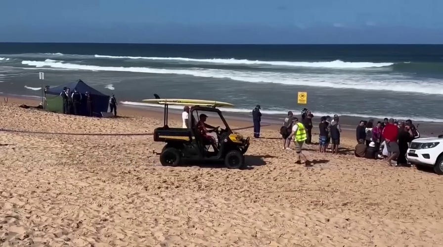 Man dies in Australia after being bitten by 'large shark' along Sydney beach