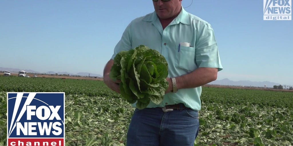 How The Migrant Surge Could Harm The Nation S Food Supply Fox News Video How The Migrant Surge Could Harm The Nation S Food Supply Fox News Video
