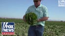 How the migrant surge could harm the nation's food supply