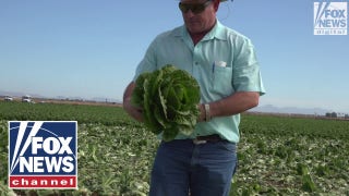 How the migrant surge could harm the nation's food supply - Fox News