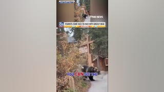 WATCH: Hikers come FACE TO FACE with GRIZZLY BEAR