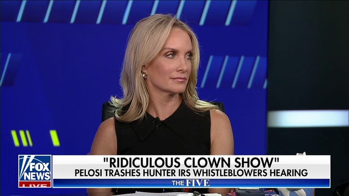 Dana Perino: The left is trying to kick up dust to confuse people