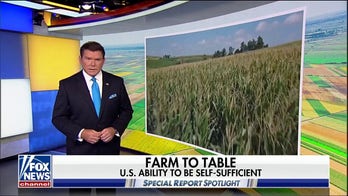 Does the US have the ability to be self sufficient in a time of need?