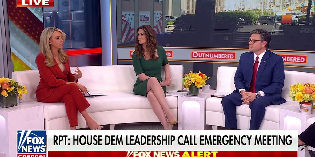 Democrats hold emergency meeting to talk with Trump disrupters