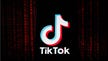 Why teens attempt viral TikTok challenges despite apparent dangers