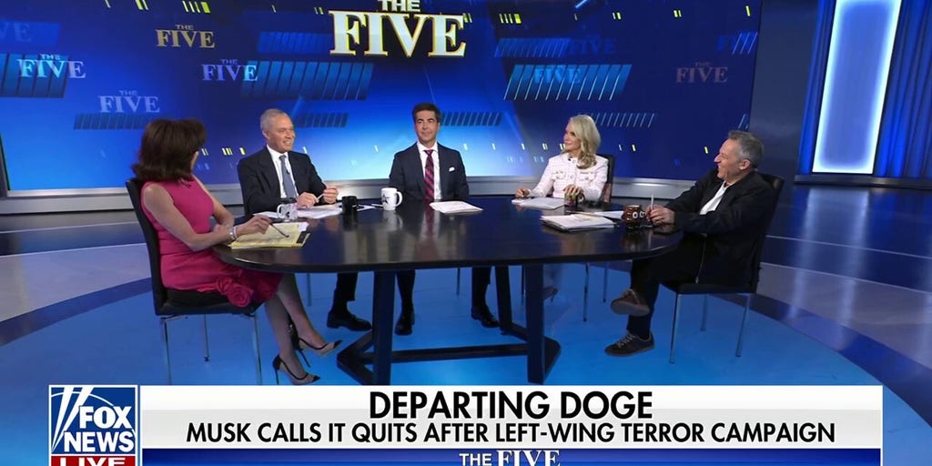 Musk exposed how much Democrats stole from the American taxpayer: Jesse Watters