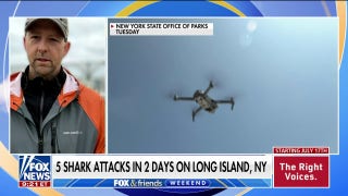 NY adds shark-scanning drones to beaches after 5 attacks in 2 days - Fox News