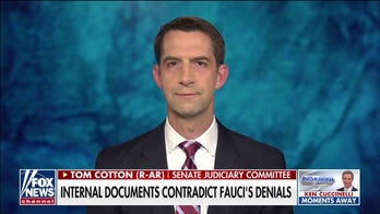 Tom Cotton on Fauci's links to Wuhan lab funding: 'One of the biggest scandals in modern times'