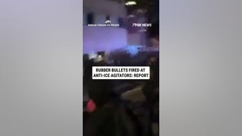 Rubber bullets FIRED at anti-ICE agitators: Report