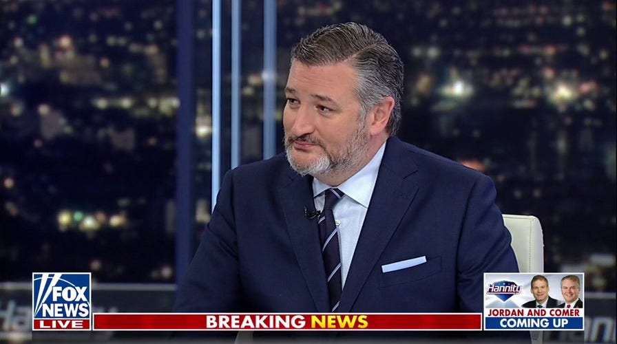 Ted Cruz: Everything is worse under Biden 