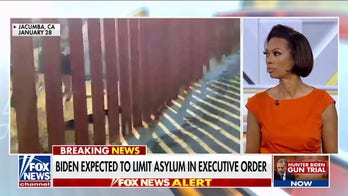 Harris Faulkner: Biden is unserious about fixing the problem at the border