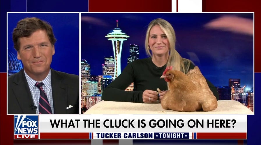 KFC in Maine discovers escaped chicken in parking lot