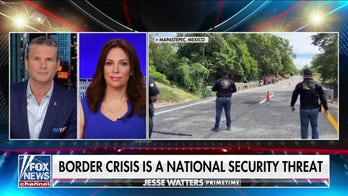 Democrats are now saying this is a real problem: Tudor Dixon