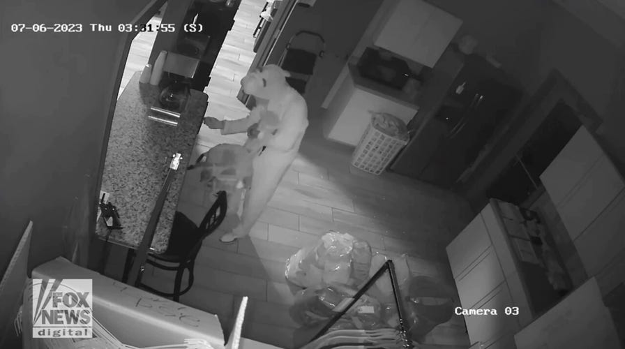 Burglar bunny: Police ask for help in identifying person dressed in costume