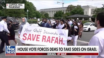 Democratic congressional staffers protest House vote on Israel aid